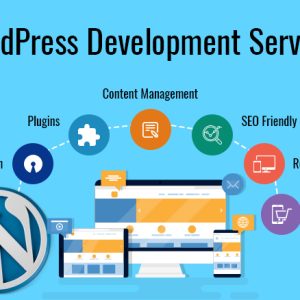 Design and Develop Your WordPress CMS and Blog Website for Business