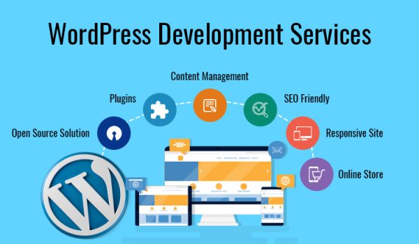 Design and Develop Your WordPress CMS and Blog Website for Business